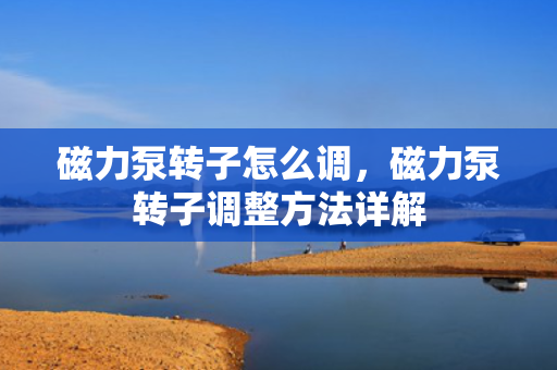 磁力泵转子怎么调，磁力泵转子调整方法详解