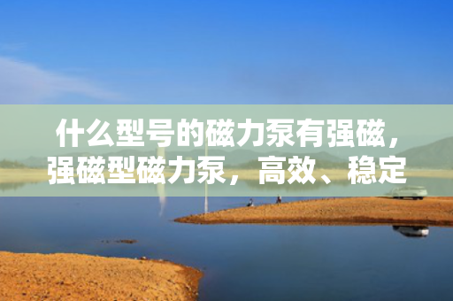 什么型号的磁力泵有强磁，强磁型磁力泵，高效、稳定、可靠的动力选择