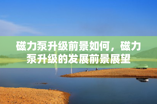 磁力泵升级前景如何，磁力泵升级的发展前景展望