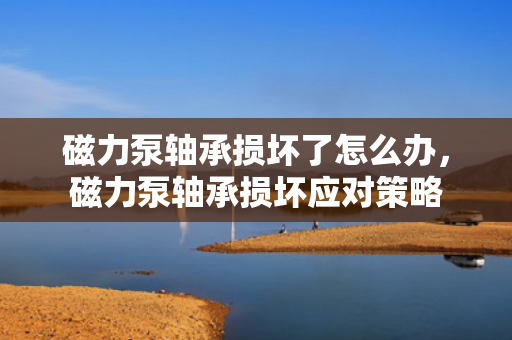 磁力泵轴承损坏了怎么办，磁力泵轴承损坏应对策略