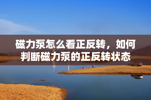 磁力泵怎么看正反转，如何判断磁力泵的正反转状态