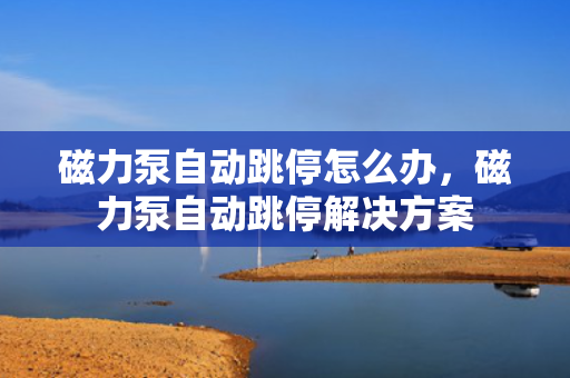 磁力泵自动跳停怎么办，磁力泵自动跳停解决方案