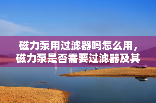 磁力泵用过滤器吗怎么用，磁力泵是否需要过滤器及其使用方法解析