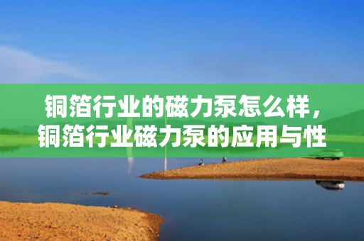 铜箔行业的磁力泵怎么样，铜箔行业磁力泵的应用与性能评析