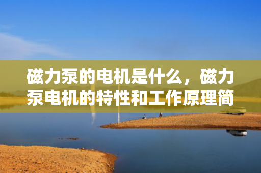 磁力泵的电机是什么，磁力泵电机的特性和工作原理简介