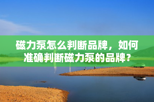 磁力泵怎么判断品牌，如何准确判断磁力泵的品牌？