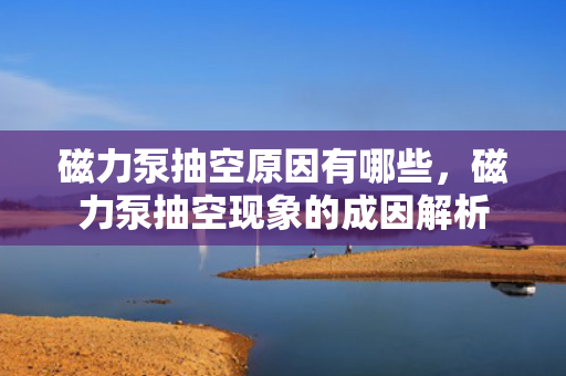 磁力泵抽空原因有哪些，磁力泵抽空现象的成因解析