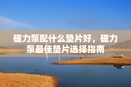 磁力泵配什么垫片好，磁力泵***佳垫片选择指南