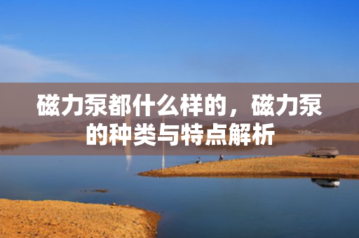 磁力泵都什么样的，磁力泵的种类与特点解析