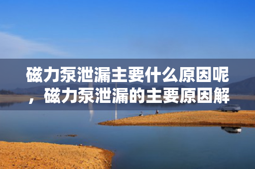 磁力泵泄漏主要什么原因呢，磁力泵泄漏的主要原因解析