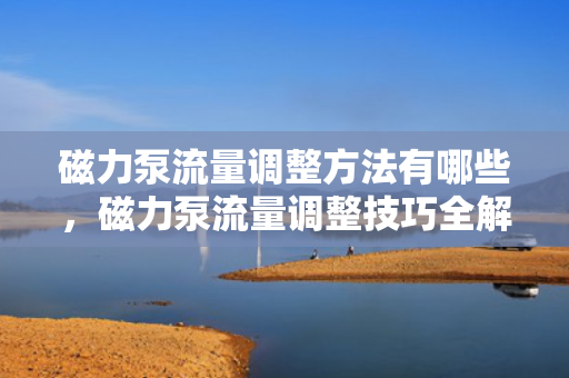 磁力泵流量调整方法有哪些，磁力泵流量调整技巧全解析