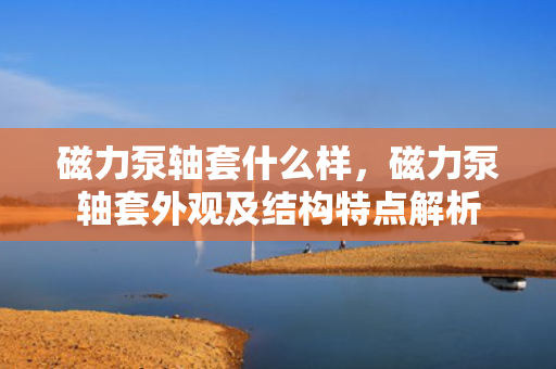 磁力泵轴套什么样，磁力泵轴套外观及结构特点解析