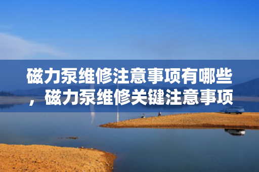 磁力泵维修注意事项有哪些，磁力泵维修关键注意事项解析