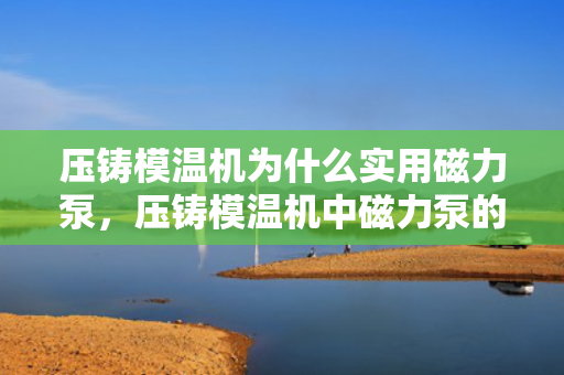 压铸模温机为什么实用磁力泵，压铸模温机中磁力泵的实用性解析