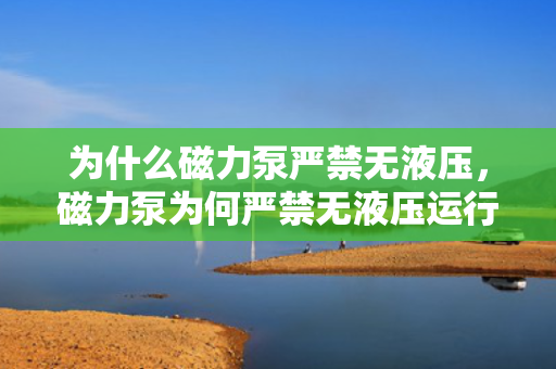 为什么磁力泵严禁无液压，磁力泵为何严禁无液压运行？