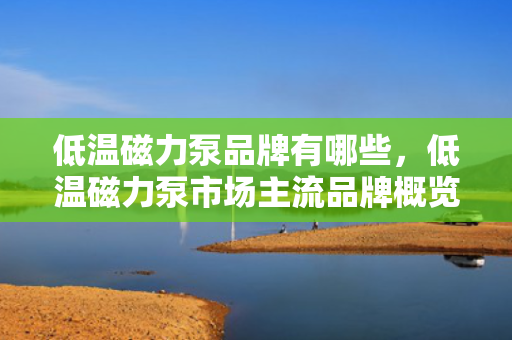 低温磁力泵品牌有哪些，低温磁力泵市场主流品牌概览