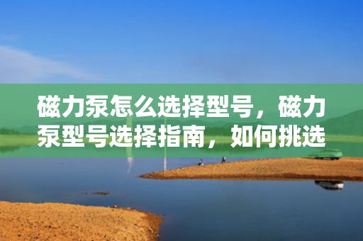 磁力泵怎么选择型号，磁力泵型号选择指南，如何挑选适合的磁力泵