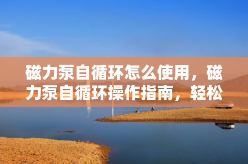 磁力泵自循环怎么使用，磁力泵自循环操作指南，轻松掌握使用方法