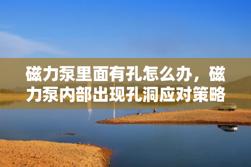 磁力泵里面有孔怎么办，磁力泵内部出现孔洞应对策略