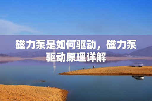 磁力泵是如何驱动，磁力泵驱动原理详解