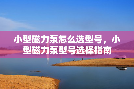 小型磁力泵怎么选型号，小型磁力泵型号选择指南