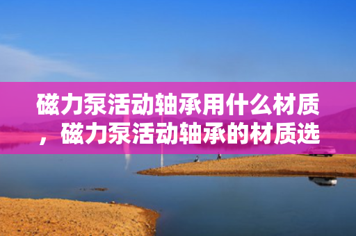 磁力泵活动轴承用什么材质，磁力泵活动轴承的材质选择