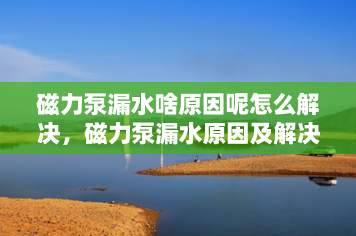 磁力泵漏水啥原因呢怎么解决，磁力泵漏水原因及解决方案