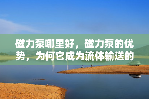 磁力泵哪里好，磁力泵的优势，为何它成为流体输送的***？