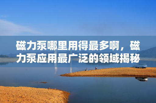 磁力泵哪里用得***多啊，磁力泵应用***广泛的领域揭秘