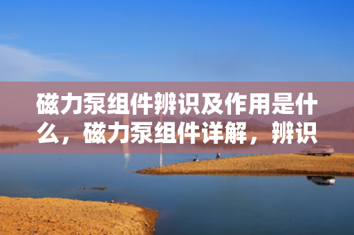 磁力泵组件辨识及作用是什么，磁力泵组件详解，辨识各部件及其关键作用
