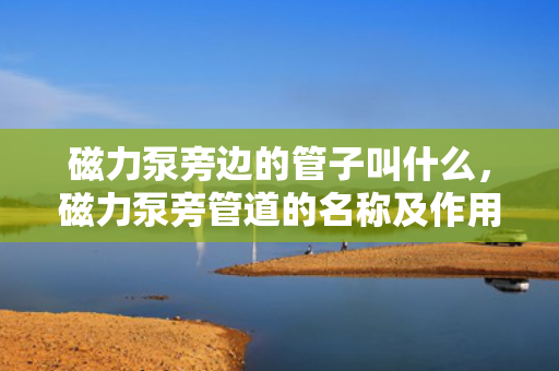 磁力泵旁边的管子叫什么，磁力泵旁管道的名称及作用