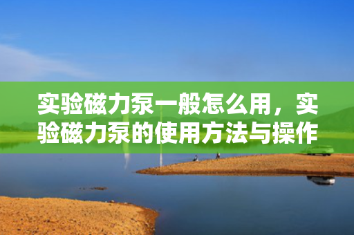 实验磁力泵一般怎么用，实验磁力泵的使用方法与操作指南