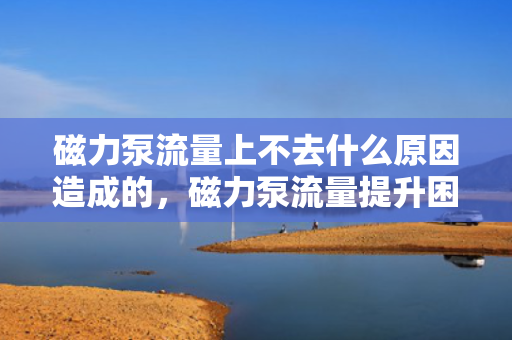 磁力泵流量上不去什么原因造成的，磁力泵流量提升困难的原因解析