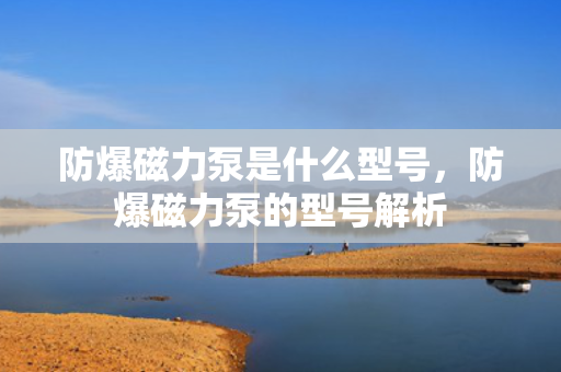 防爆磁力泵是什么型号，防爆磁力泵的型号解析