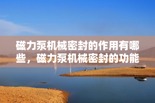 磁力泵机械密封的作用有哪些，磁力泵机械密封的功能及作用解析