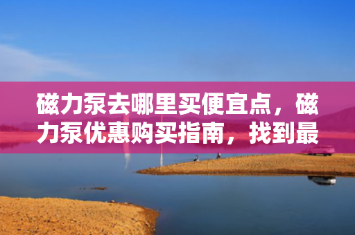 磁力泵去哪里买便宜点，磁力泵优惠购买指南，找到***便宜的购买渠道