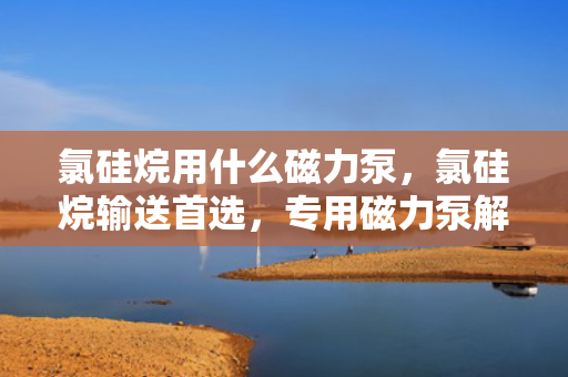 氯硅烷用什么磁力泵，氯硅烷输送***，专用磁力泵解决方案