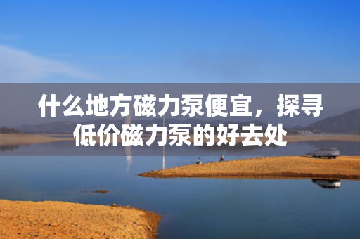 什么地方磁力泵便宜，探寻低价磁力泵的好去处