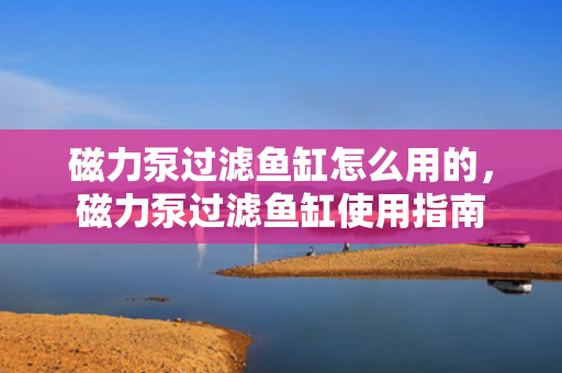 磁力泵过滤鱼缸怎么用的，磁力泵过滤鱼缸使用指南