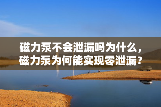 磁力泵不会泄漏吗为什么，磁力泵为何能实现零泄漏？——解析磁力泵的工作原理与优势