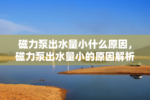 磁力泵出水量小什么原因，磁力泵出水量小的原因解析