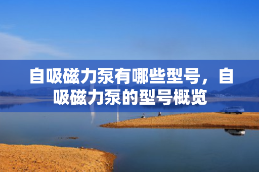 自吸磁力泵有哪些型号，自吸磁力泵的型号概览
