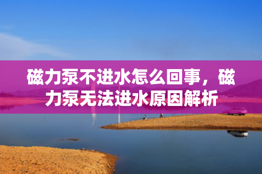 磁力泵不进水怎么回事，磁力泵无法进水原因解析