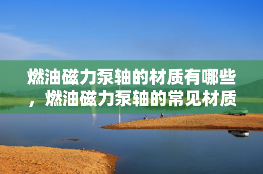 燃油磁力泵轴的材质有哪些，燃油磁力泵轴的常见材质概述