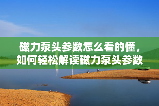 磁力泵头参数怎么看的懂，如何轻松解读磁力泵头参数？