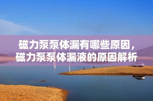 磁力泵泵体漏有哪些原因，磁力泵泵体漏液的原因解析