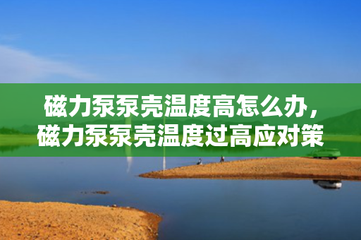 磁力泵泵壳温度高怎么办，磁力泵泵壳温度过高应对策略