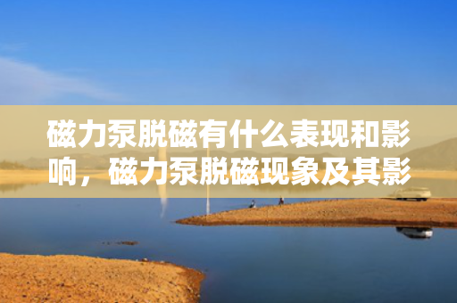 磁力泵脱磁有什么表现和影响，磁力泵脱磁现象及其影响解析