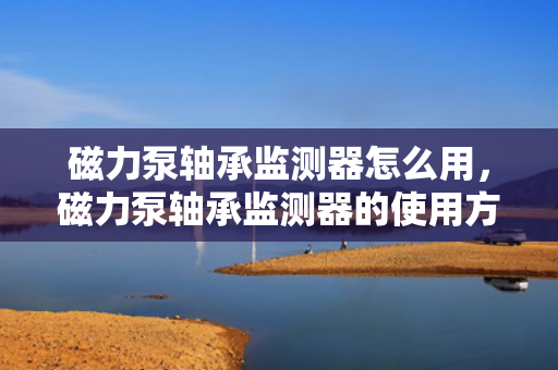磁力泵轴承监测器怎么用，磁力泵轴承监测器的使用方法