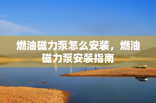 燃油磁力泵怎么安装，燃油磁力泵安装指南